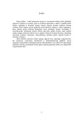 Fizinių pratimų nauda organizmui 2 puslapis