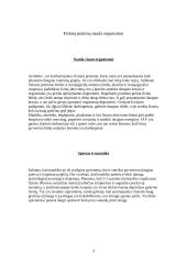 Fizinių pratimų nauda organizmui 3 puslapis