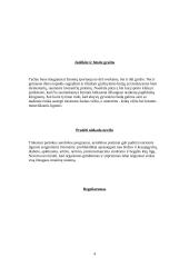 Fizinių pratimų nauda organizmui 4 puslapis