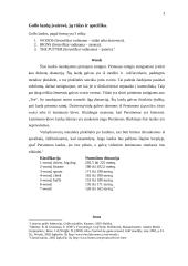 Golfo inventoriaus pasirinkimo ir rezultatų sąveika 3 puslapis