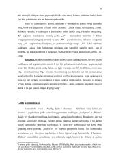 Golfo inventoriaus pasirinkimo ir rezultatų sąveika 6 puslapis