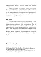 Golfo inventoriaus pasirinkimo ir rezultatų sąveika 7 puslapis