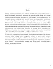 Idealus pedagogas ir pedagoginio darbo sunkumai 3 puslapis