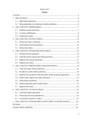 Idėjos pagrindimas bei intelektinės nuosavybės kūrimas: šildomos USB šlepetės "Tapučiai" 2 puslapis