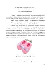 Idėjos pagrindimas bei intelektinės nuosavybės kūrimas: šildomos USB šlepetės "Tapučiai" 12 puslapis