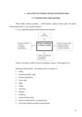 Idėjos pagrindimas bei intelektinės nuosavybės kūrimas: šildomos USB šlepetės "Tapučiai" 16 puslapis