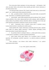 Idėjos pagrindimas bei intelektinės nuosavybės kūrimas: šildomos USB šlepetės "Tapučiai" 17 puslapis