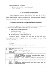 Idėjos pagrindimas bei intelektinės nuosavybės kūrimas: šildomos USB šlepetės "Tapučiai" 18 puslapis