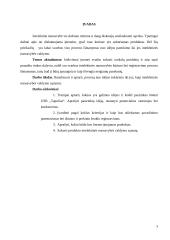 Idėjos pagrindimas bei intelektinės nuosavybės kūrimas: šildomos USB šlepetės "Tapučiai" 3 puslapis