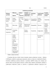 Idėjos pagrindimas bei intelektinės nuosavybės kūrimas: šildomos USB šlepetės "Tapučiai" 5 puslapis
