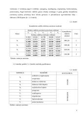 Idėjos pagrindimas bei intelektinės nuosavybės kūrimas: šildomos USB šlepetės "Tapučiai" 6 puslapis