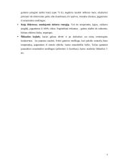 Idėjos pagrindimas bei intelektinės nuosavybės kūrimas: šildomos USB šlepetės "Tapučiai" 9 puslapis