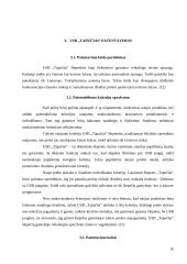 Idėjos pagrindimas bei intelektinės nuosavybės kūrimas: šildomos USB šlepetės "Tapučiai" 10 puslapis