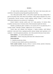 Įmonės gamybinės veiklos analizė: saldainių gamyba 2 puslapis