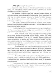 Įmonės kolektyvinės sutarties šalys, turinys ir sudarymo tvarka 13 puslapis