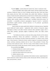 Įmonės kolektyvinės sutarties šalys, turinys ir sudarymo tvarka 3 puslapis