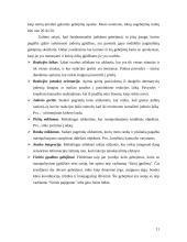 Individualūs skirtumai ir motoriniai gebėjimai 10 puslapis