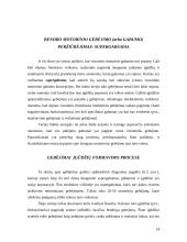 Individualūs skirtumai ir motoriniai gebėjimai 13 puslapis