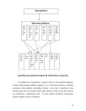 Individualūs skirtumai ir motoriniai gebėjimai 15 puslapis
