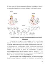Individualūs skirtumai ir motoriniai gebėjimai 19 puslapis