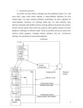 Individualūs skirtumai ir motoriniai gebėjimai 4 puslapis
