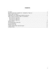 Informacijos šifravimas 2 puslapis