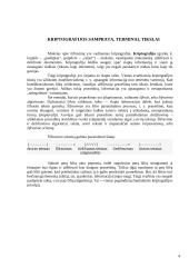 Informacijos šifravimas 4 puslapis