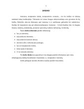 Informacinės technologijos - kompiuteris ir internetas 3 puslapis
