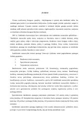 Intelektinės nuosavybės apsauga 2 puslapis