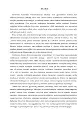 Intelektinės nuosavybės apsauga 11 puslapis