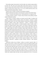 Intelektinės nuosavybės apsauga 9 puslapis