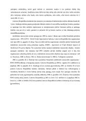 Intelektinės nuosavybės apsauga 10 puslapis