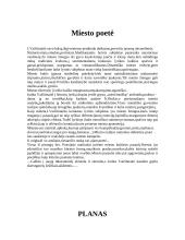Judita Vaičiūnaitė - miesto poetė 5 puslapis