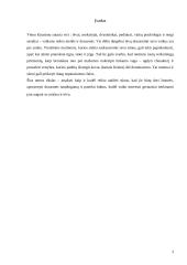 Kaip sūnų išauklėti doru žmogumi (be tėvo šeimoje) 3 puslapis