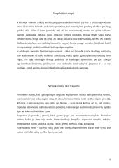 Kaip sūnų išauklėti doru žmogumi (be tėvo šeimoje) 9 puslapis