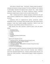 Kalba ir etiketas 8 puslapis