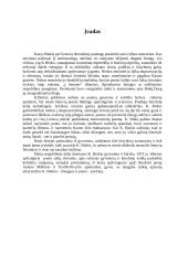 Kazys Binkis 2 puslapis