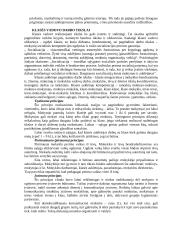 Klasės auklėtojo vieta ir vaidmuo ugdymo procese 5 puslapis