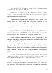 Krepšinio raida Lietuvoje 4 puslapis