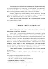 Krepšinio žaidimo poveikis žaidėjo fizinei būklei 4 puslapis