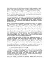 Kūno kultūra - pramoga, aktyvus poilsis, šventė 2 puslapis