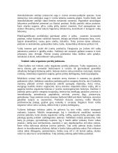 Kūno kultūra - pramoga, aktyvus poilsis, šventė 4 puslapis