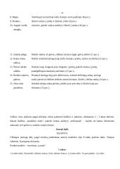 Kūno kultūros ir sporto renginiai mokyklose 6 puslapis