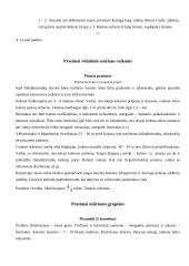 Kūno kultūros ir sporto renginiai mokyklose 9 puslapis