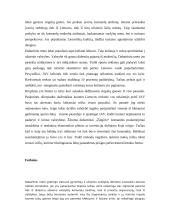 Kūno kultūros ir sporto sistemos ekonominiai ypatumai 5 puslapis