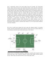 Kūno kultūros ir sporto sistemos ekonominiai ypatumai 6 puslapis