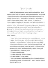 Kūno kultūros pamoka: mankšta su Gymnic kamuoliais 2 puslapis