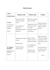 Kūno kultūros pamoka: mankšta su Gymnic kamuoliais 8 puslapis