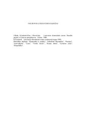 Laisvosios ekonominės zonos ir jų vaidmuo 10 puslapis