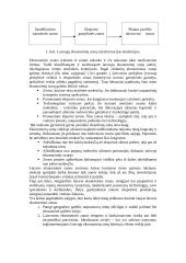 Laisvosios ekonominės zonos ir jų vaidmuo 2 puslapis